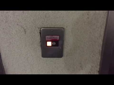 HORRIBLE OTIS Series 1 Hydraulic Scenic Elevators @ Ralphs, Santa Monica, CA