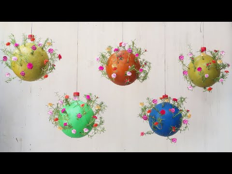 Let s grow bitter melon for your family this way it s very fruity and easy to make