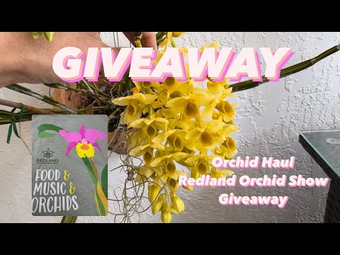 Orchid Haul, Redland Show Information, Giveaway Info & Pretty Blooms