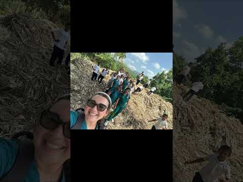 MEF Proyecto Pedagógico Productivo Cat Carmen De Bolivar. V Semestre