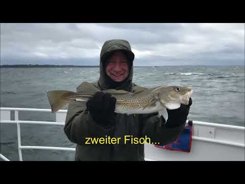 Ganz forsch auf Dorsch