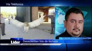 preview picture of video 'México firma ACTA / Desacreditan foto de lechuza en Laredo'