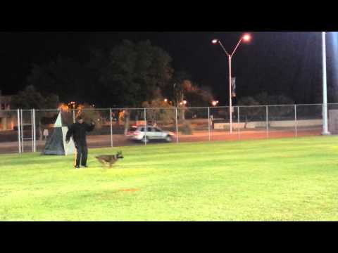 Irondog IDP1 Frontal Courage Attack