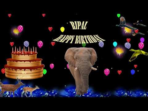 RIPAL HAPPY BIRTHDAY TO YOU