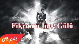 Fikrimin İnce Gülü
