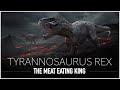 Tyrannosaurus Rex: The Scariest & Most Feared Dinosaur to Walk The Earth | Dinosaur Documentary