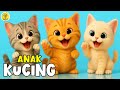Lagu Anak Anak ANAK KUCING MEONG MEONG Lagu Anak Balita Terbaru Paling Viral Terpopuler
