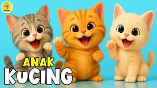 Download lagu Lagu Anak Anak - ANAK KUCING MEONG MEONG - Lagu Anak & Balita Terbaru Paling Viral Terpopuler mp3