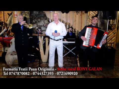 Frații Păun si solist vocal Rony 2