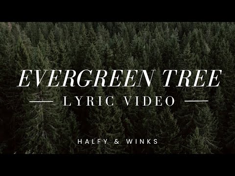 Evergreen Tree Official Lyric Video || Halfy & Winks