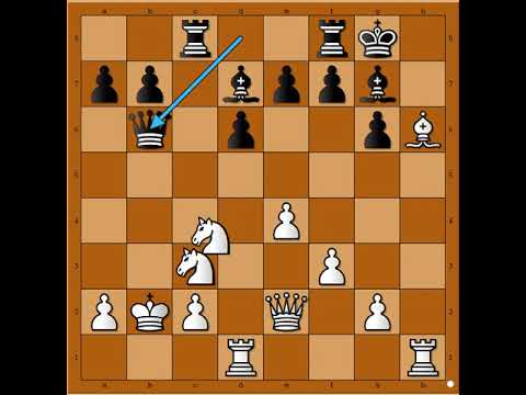 Haotična razmena figura po sistemu  ko će brže do pobede ☆ ☆ ☆ KANAYAN vs ZELINSKY # 1895