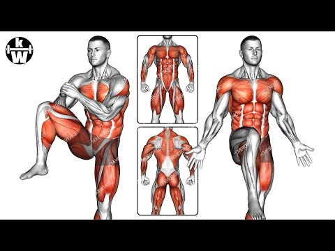 Standing Full-body Workouts are Effective for Building a Muscular Body.