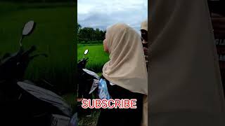 Download lagu Kepulangan NIA DIRGHA Sehabis Menghibur #shorts mp3