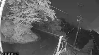 立石公園道路状況ライブカメラ live webcam