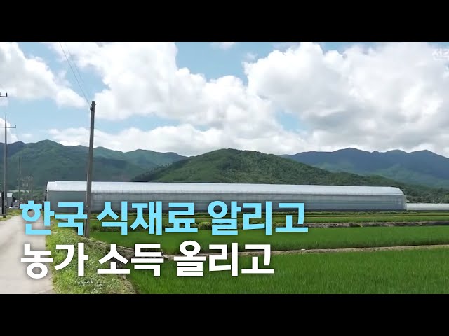 한국 식재료 알리고 농가 소득 올리고