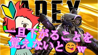 いっつも雑談😝ｗ　話すぎて、ゲームに集中出来ていないようなので、口数減らそうとするが、出来ない人の配信😌ｗ【　APEX　】