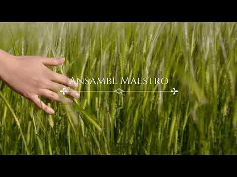 Serbian Ethno Music - "Klecka" (Ansambl Maestro)