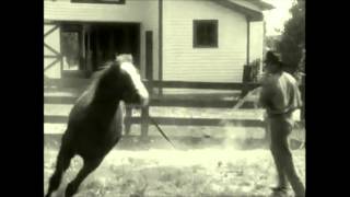 Susie McEntire - Touch The Sky..