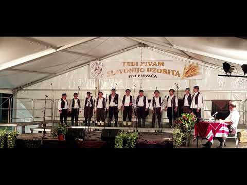 MPS "Baje" Ivanovac, Ivanovac 2022.