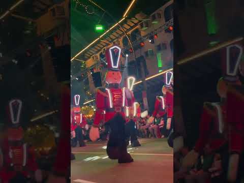 Natal Luz, 40 anos. Gramado, Rio Grande do Sul, Brasil