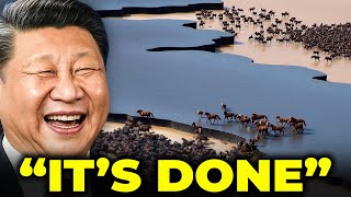 They Released A Herd Of Extinct Horses Into China's Desert... What Happened Next Shocked Biologists