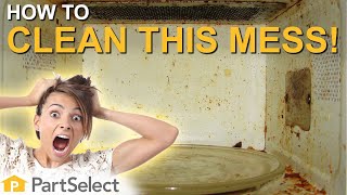 Learn How to Clean Your Microwave