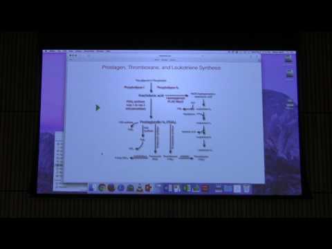 Prostaglandin & Nucleotide Metabolism - Kevin Ahern's BB 451 Lecture #39 2017