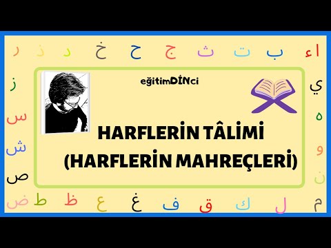 Quran Letter Training | Origins of Letters | Origins of Letters
