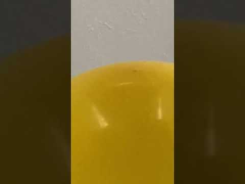 Balloon episode #11273