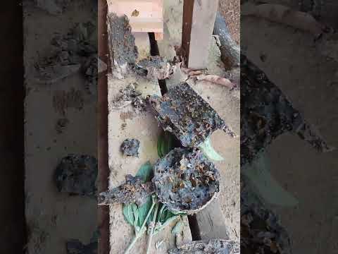 casa nova da Jataí GO 🐝