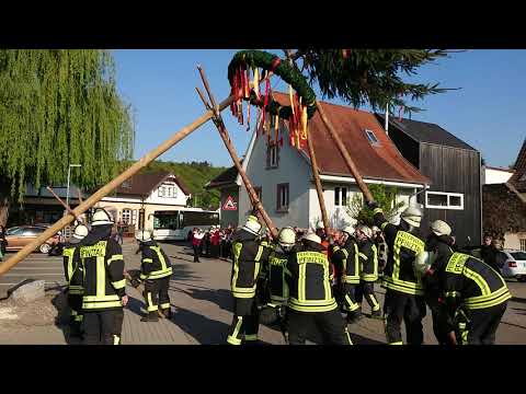Maibaumstellen in Kleinsteinbach 2019