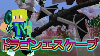 ドラゴンエスケープやってみた結果
