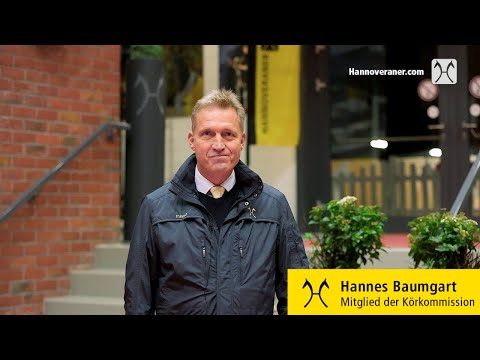 Verdener Hengstkörung und Hengstmarkt: Hannes Baumgart mit den ersten Eindrücken