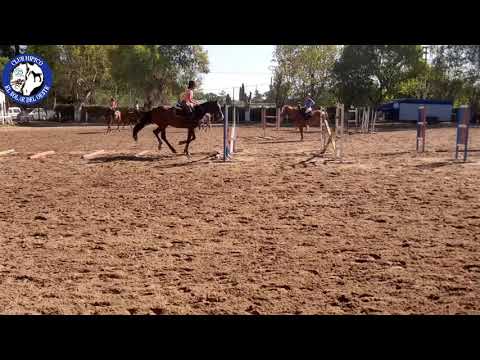 Sábado 02/11 - Practica de Salto 15:30 - CHESDO