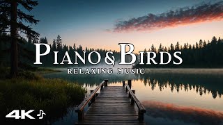 Beautiful Relaxing Music with Gentle Piano & Bird Sounds