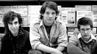 Dinosaur Jr - Leper (Peel Session)