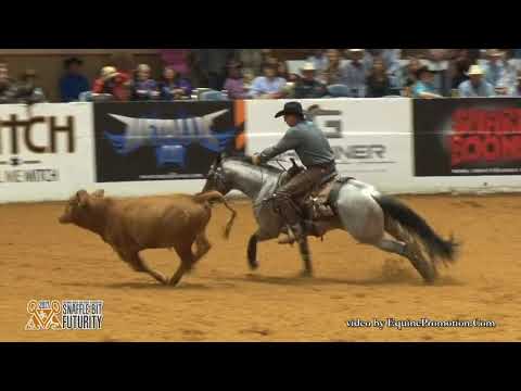 Plain Catty ridden by Jake D  Gorrell - 2017 NRCHA Snaffle Bit Futurity