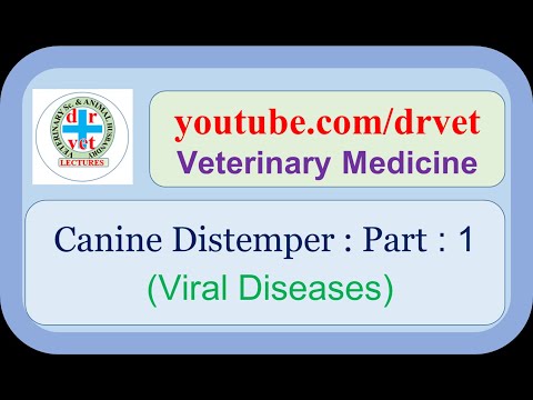 Canine distemper Part 1