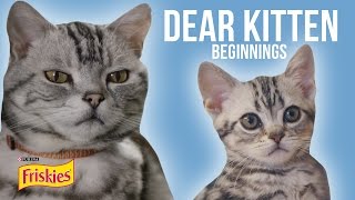 Purina Friskies