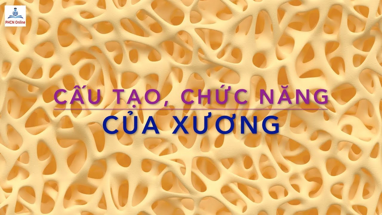 Quá trình lành vết thương