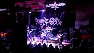 Hadez | Ángel Exterminador | Bogotá