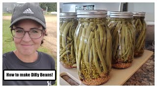 How to make Dilly Beans!