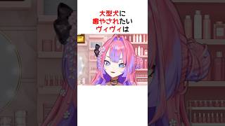 大型犬に癒されたいヴィヴィ【ホロライブ / ヴィヴィ / 切り抜き】#shorts #ヴィヴィ切り抜き