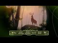 Bambi 1942 Dvd Menu Walkthrough