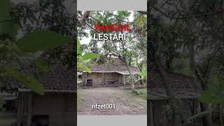 Download lagu SUARA PANGGIL BURUNG WALET...PANGGIL LESTARI mp3