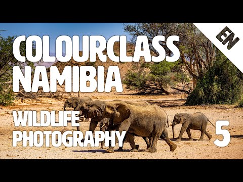 Colourclass Namibia: Episode 5 – The Most Important Tips of Wildlife Photography