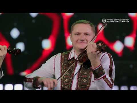 Frații Ștefăneț - Suita instrumentală #DinastiaȘtefăneț