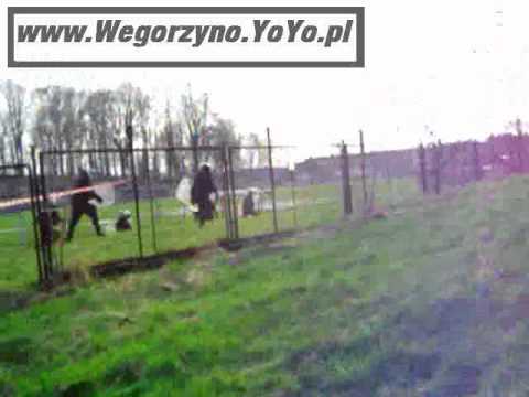 Okrzyki po meczu Sparty Węgorzyno-Piast Chociwel