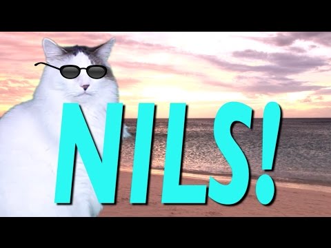 HAPPY BIRTHDAY NILS! - EPIC CAT Happy Birthday Song