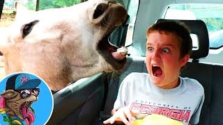 Самые Смешные Угарные Видео 2016 Best funny videos 2016